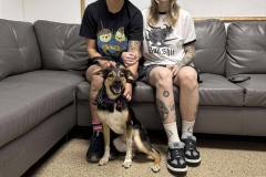 Benji Benji