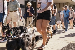 IMG_0330
