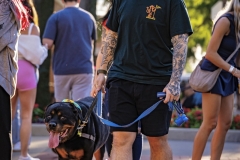 IMG_0379